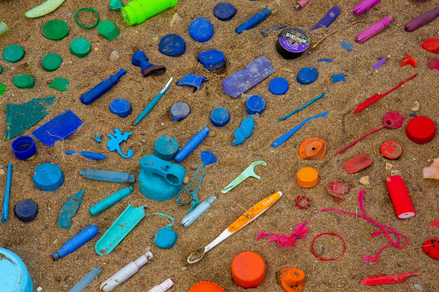 Ocean Plastic LOOP spendet an OceanCare