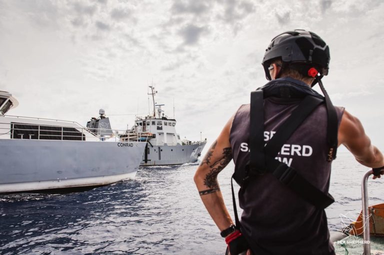 LOOP nachhaltig werben Sea Shepherd