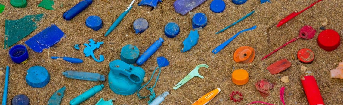 Ocean Plastic LOOP spendet an OceanCare